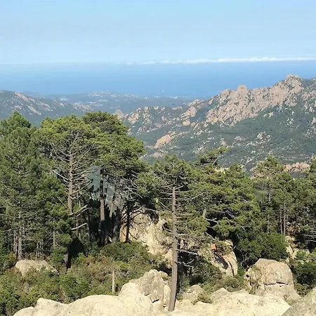 Mobilhome Terrain Prive Cuisine D Ete Sud Corse 维琪奥港