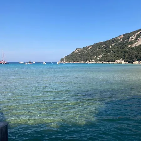 营地 Mobilhome Terrain Prive Cuisine D Ete Sud Corse 维琪奥港